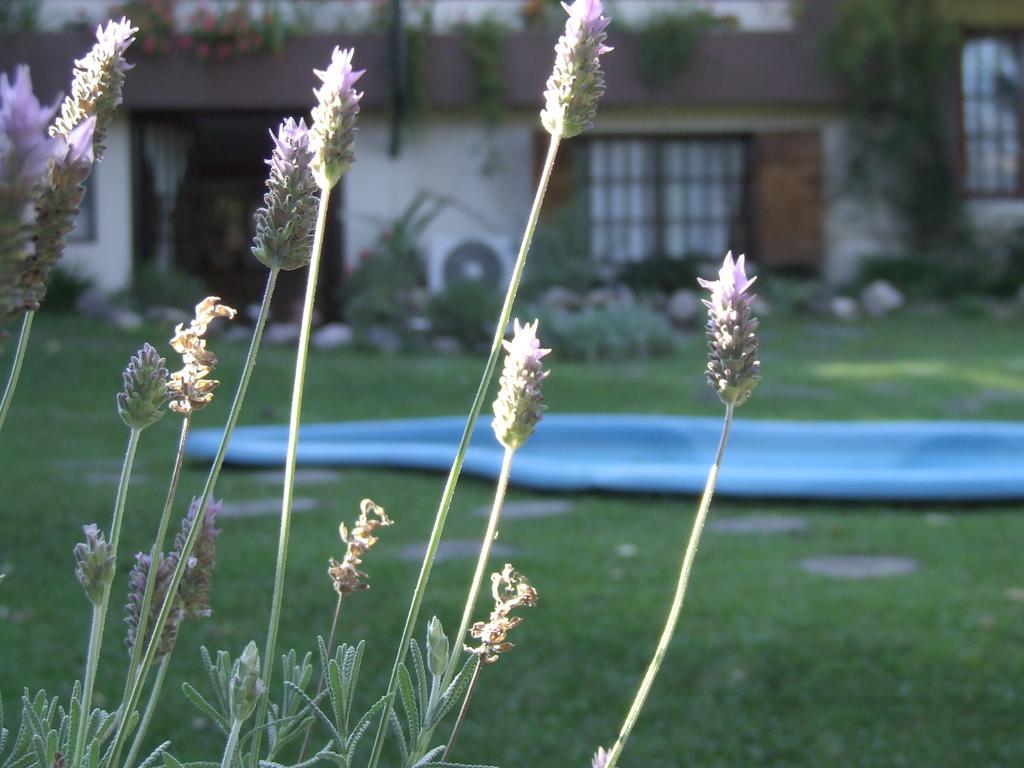 Hosteria Pascana San Salvador de Jujuy Kültér fotó