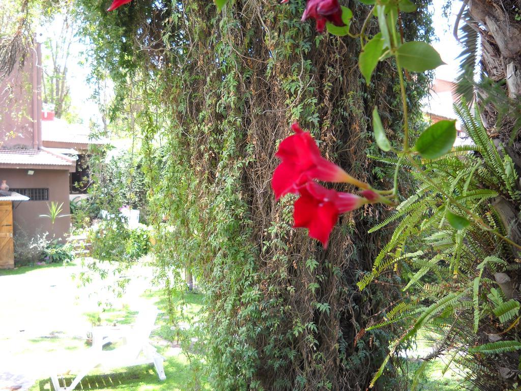 Hosteria Pascana San Salvador de Jujuy Kültér fotó